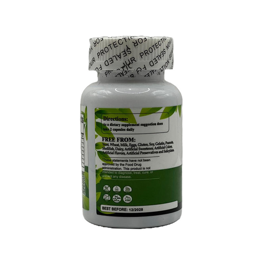 Complete Gut and Digestive Support Capsules